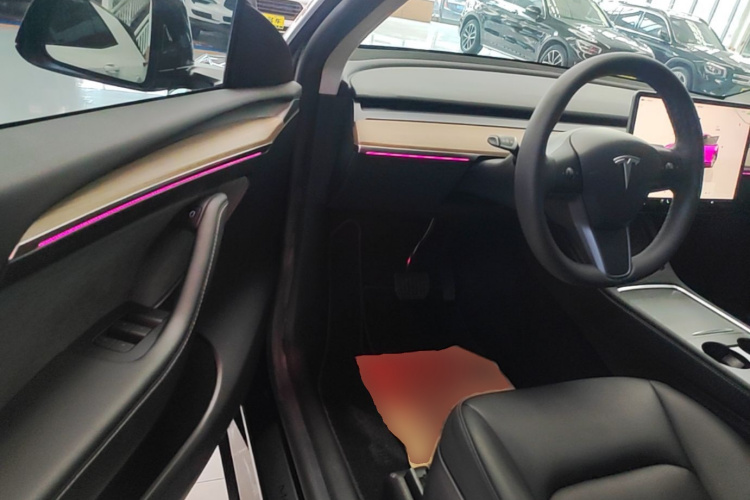 Tesla Model Y 2022 car image #12