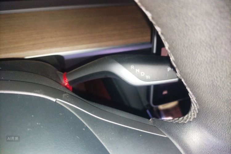 Tesla Model 3 2021 #16 Tesla Model 3 2021 صورة سيارة #16