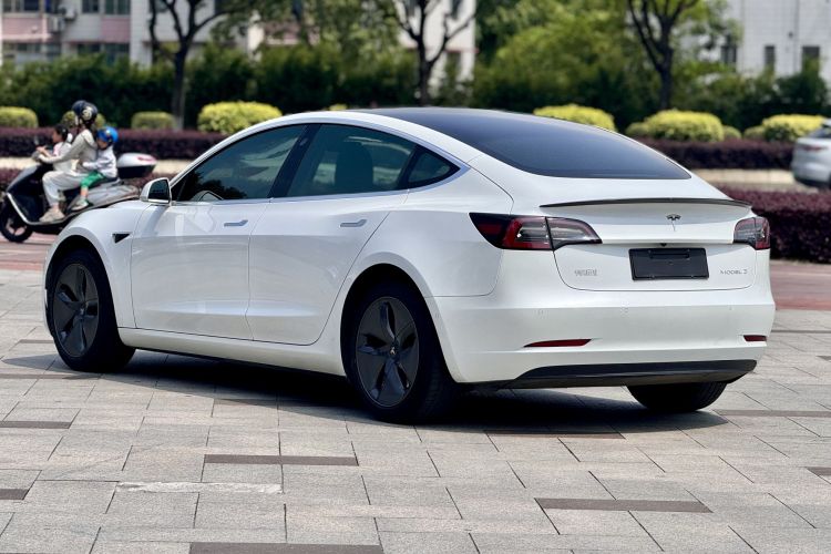 Tesla Model 3 2020 #5 Tesla Model 3 2020 car image #5