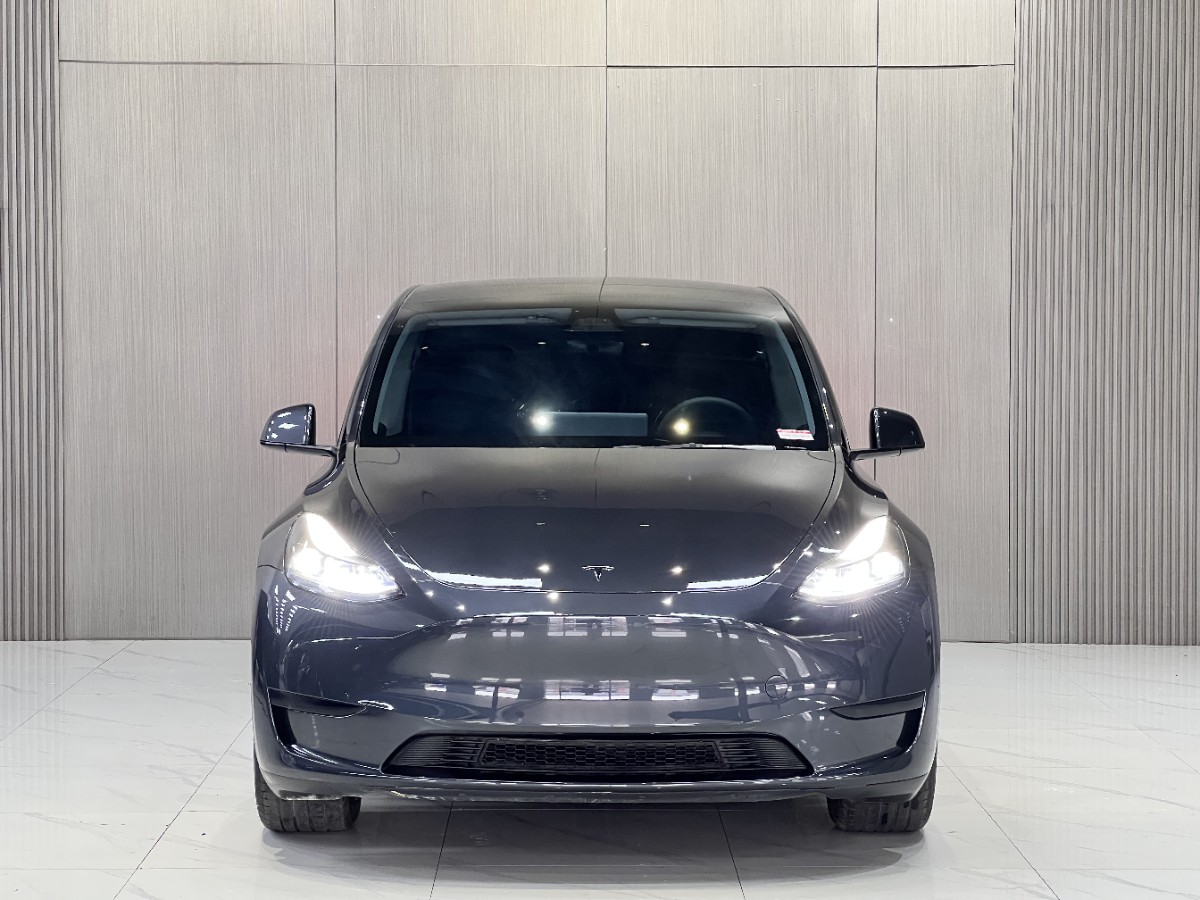 Tesla Model Y 2025 #2 Tesla Model Y 2025 car image #2