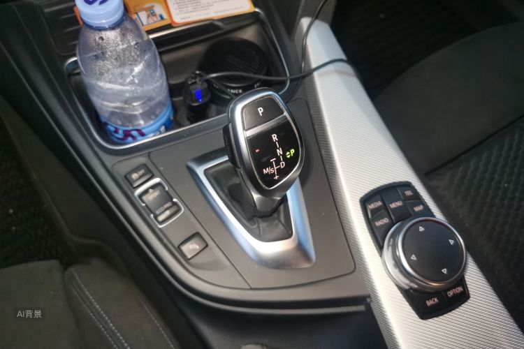 BMW 3 Series 2016 car image #16