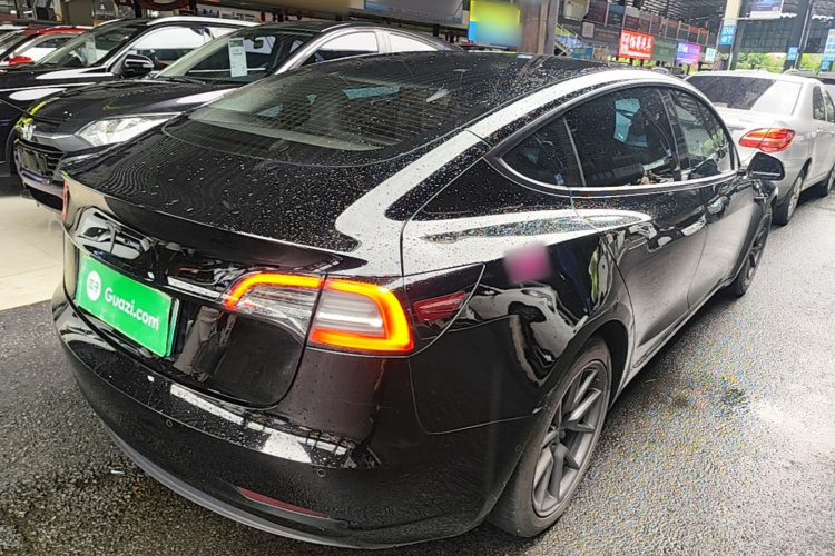 Tesla Model 3 2021 car image #7