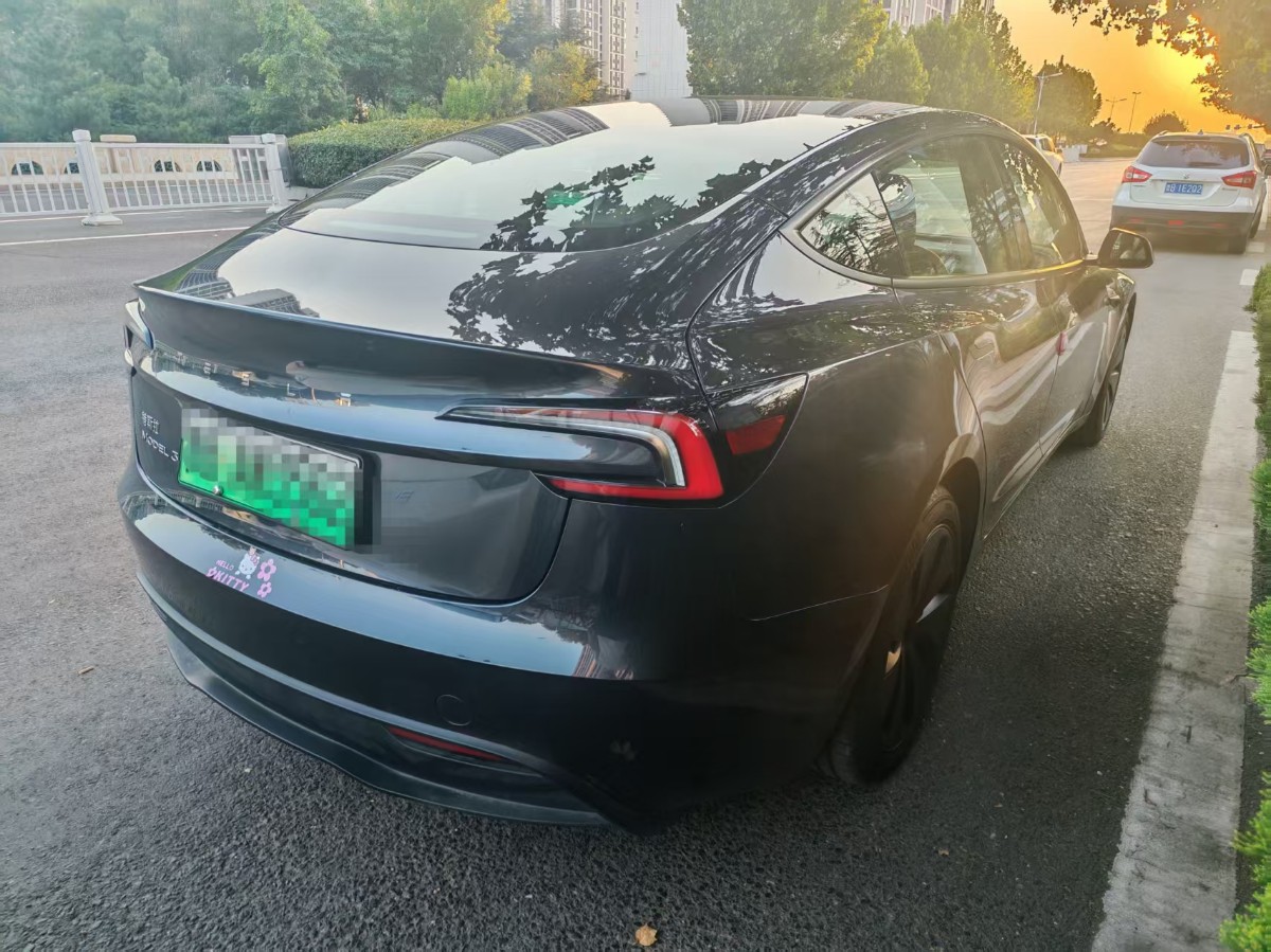 Tesla Model 3 2025 car image #6