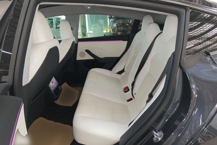 Tesla Model 3 2025 #17 Tesla Model 3 2025 car image #17