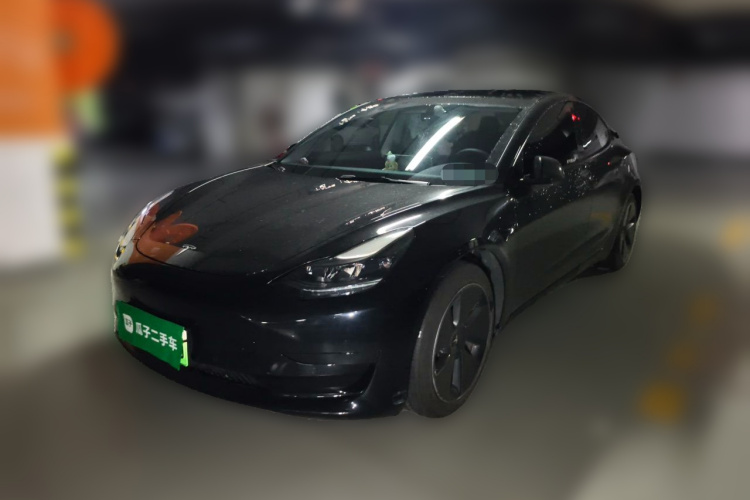 Tesla Model 3 2021 #2 Tesla Model 3 2021 car image #2