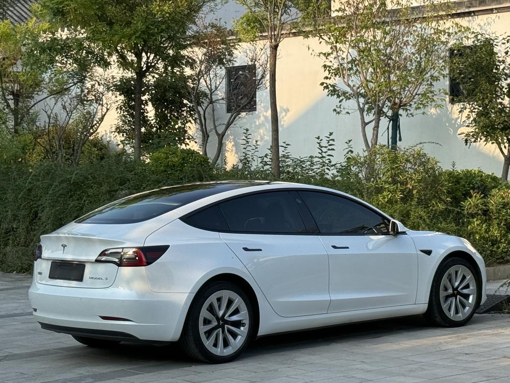 Tesla Model 3 2021 car image #6