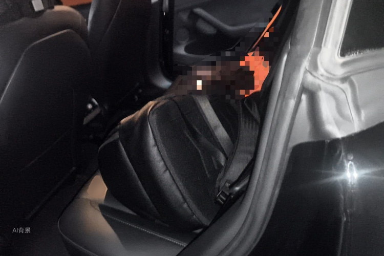 Tesla Model 3 2021 car image #19