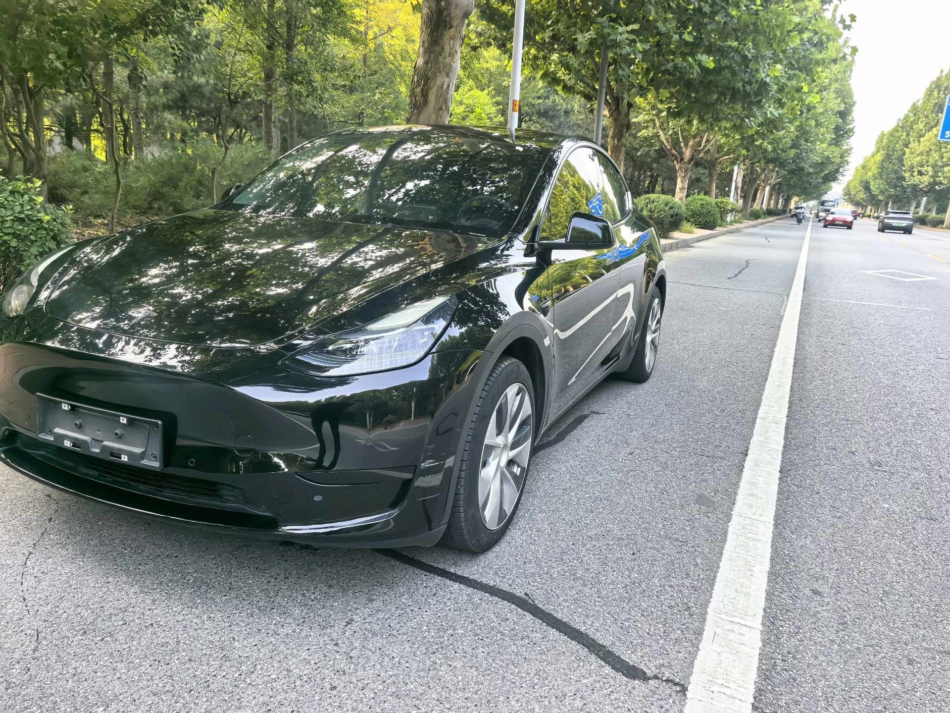 Tesla Model Y 2023 car image 