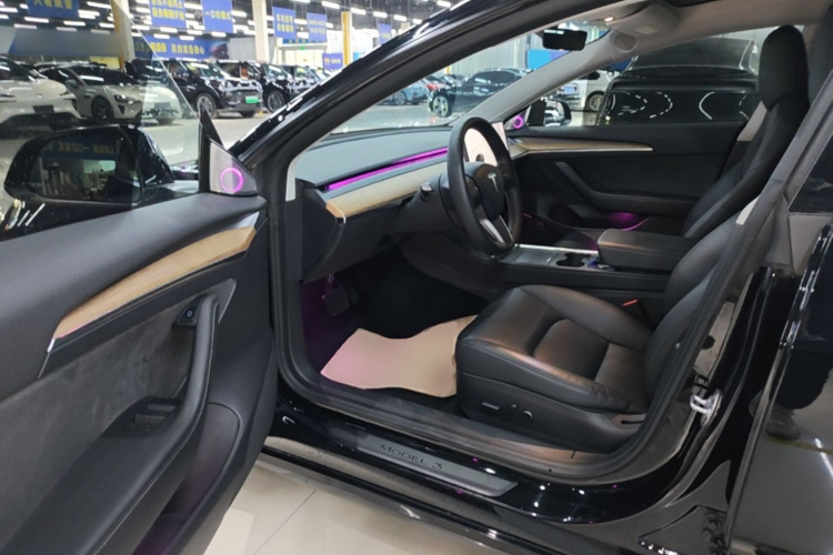 Tesla Model 3 2021 car image #16