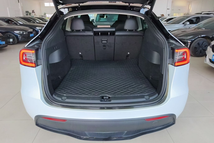 Tesla Model Y 2022 car image #19