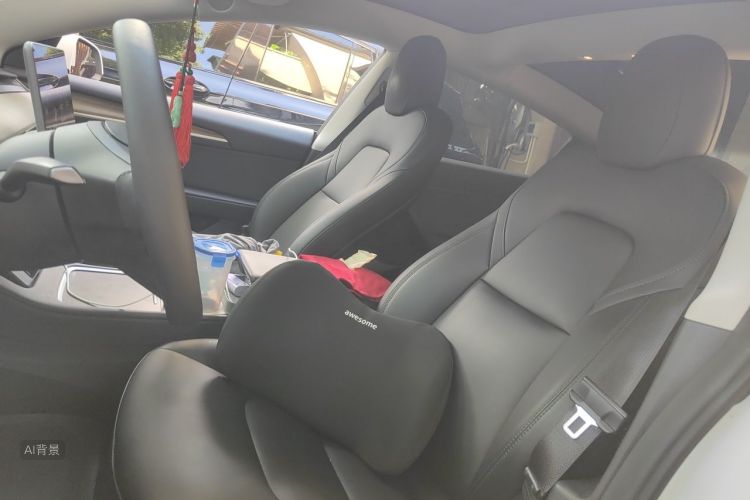 Tesla Model 3 2021 #17 Tesla Model 3 2021 car image #17