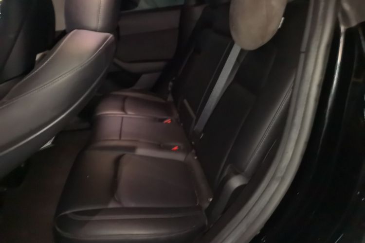 Tesla Model Y 2023 #10 Tesla Model Y 2023 car image #10
