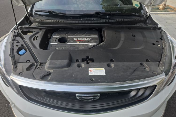 GEELY Emgrand GS 2020 car image #22