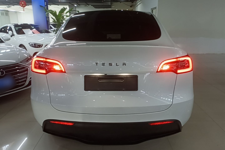 Tesla Model Y 2021 #6 Tesla Model Y 2021 car image #6