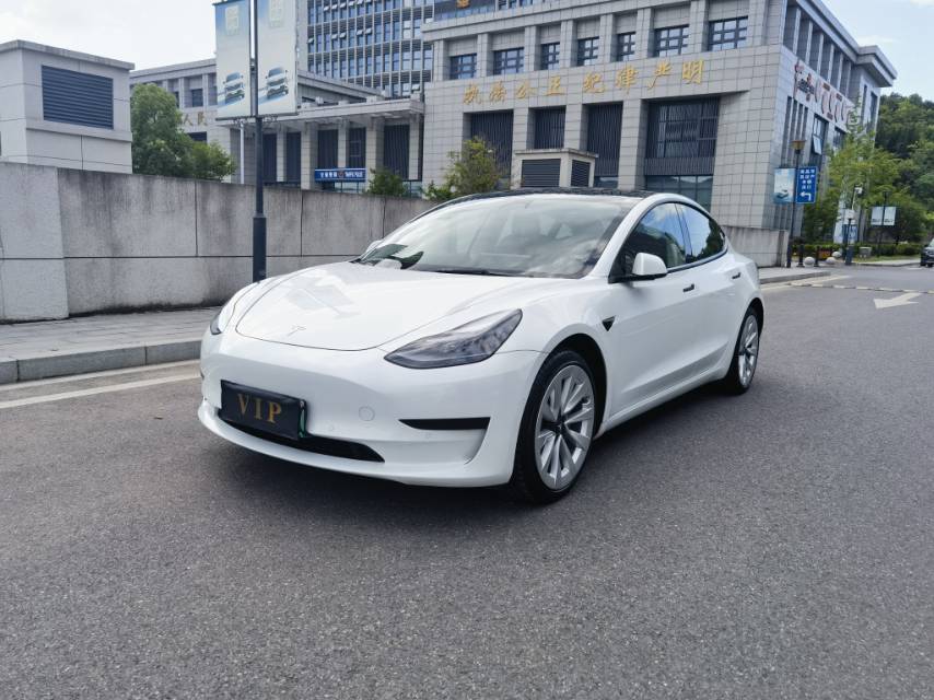Tesla Model 3 2021 Tesla Model 3 2021 car image