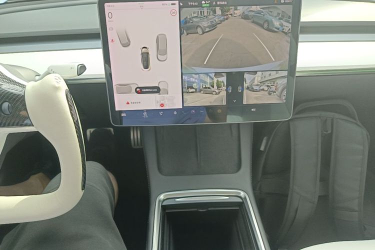 Tesla Model 3 2021 #14 Tesla Model 3 2021 car image #14