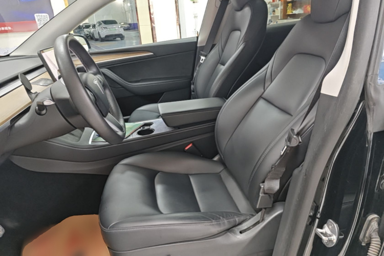 Tesla Model Y 2021 car image #15