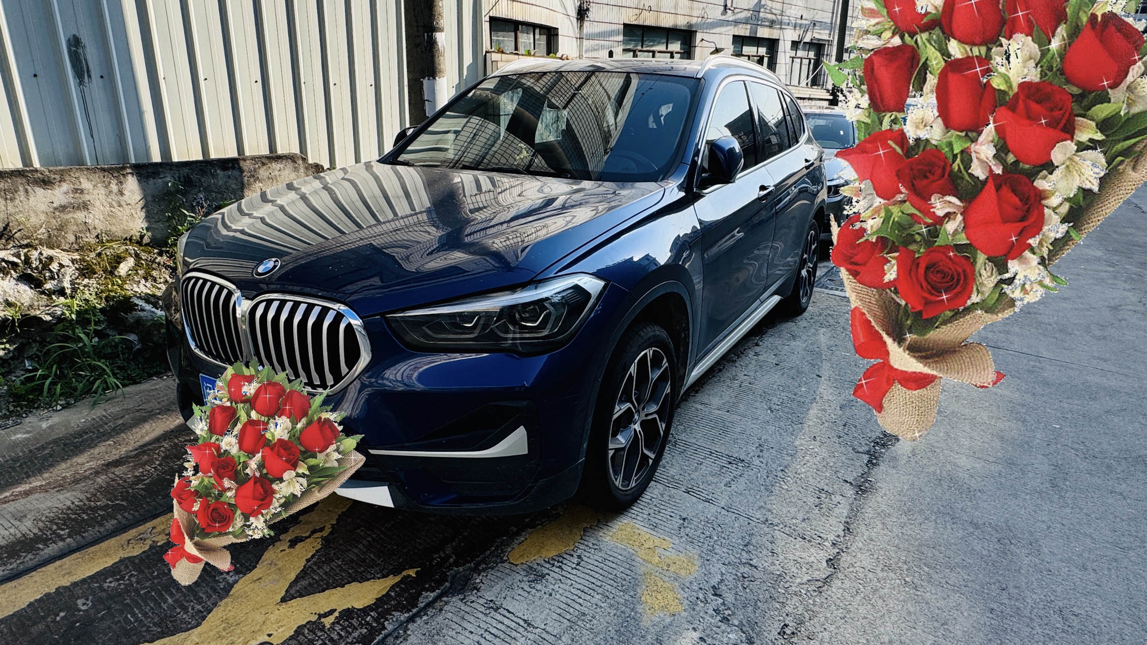 BMW X1 2020 car image 