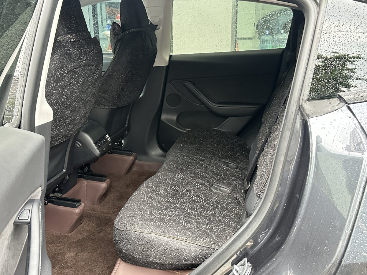 Tesla Model Y 2024 car image #6