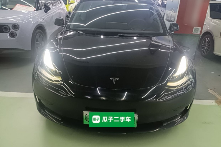 Tesla Model 3 2021 #3 Tesla Model 3 2021 car image #3
