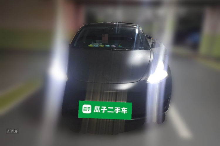 Tesla Model 3 2021 #3 Tesla Model 3 2021 car image #3
