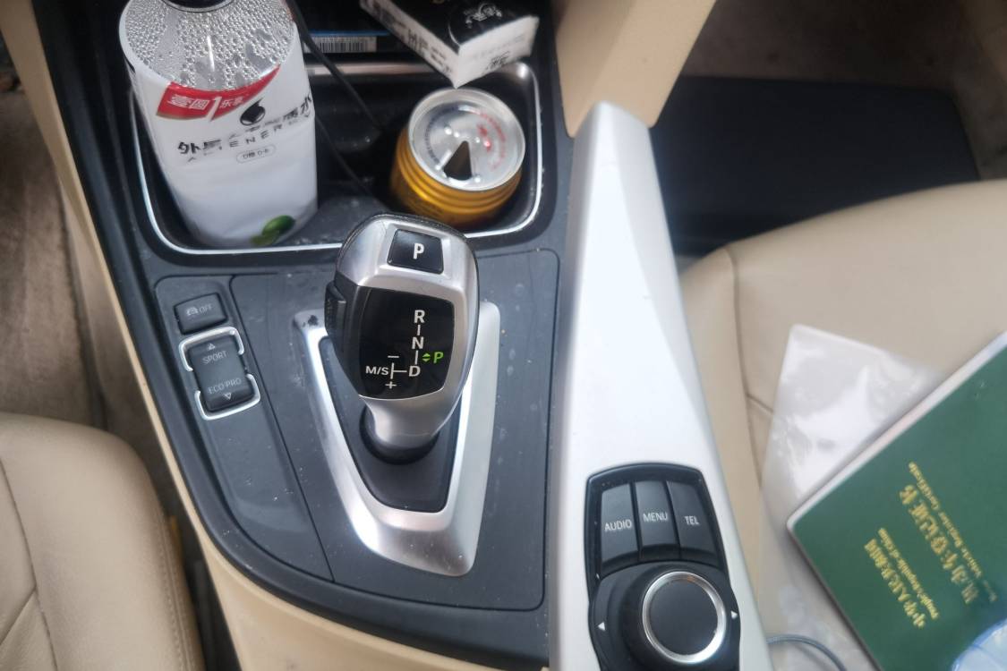 BMW 3 Series 2014 car image #29