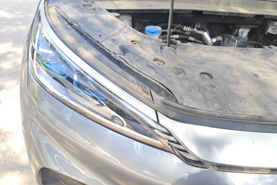 BYD Yuan Plus 2022 imagen de coche #7