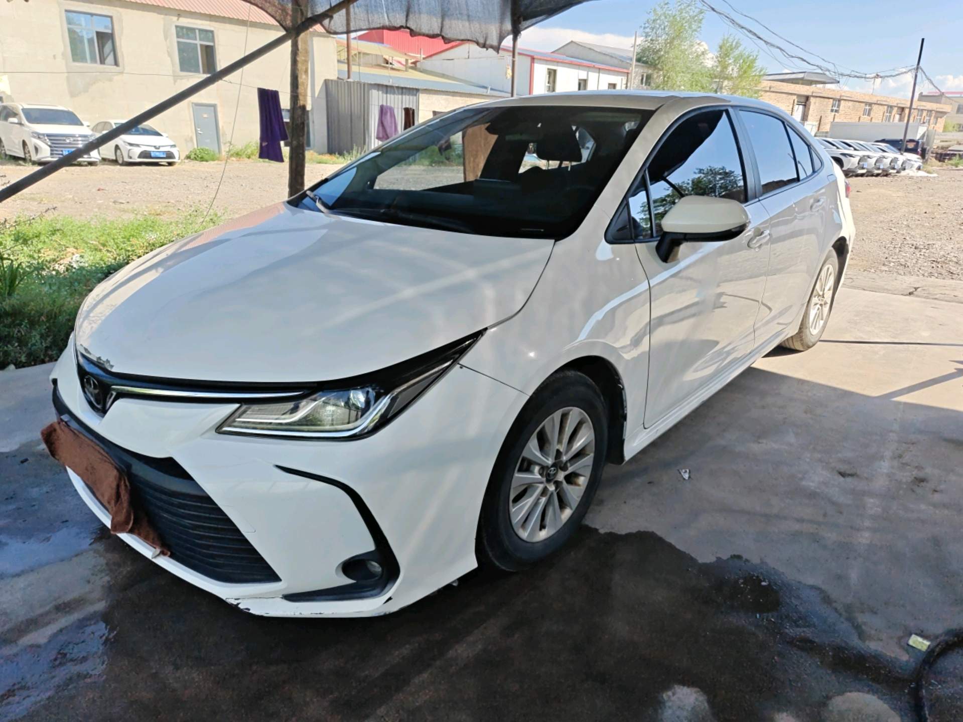 Toyota Corolla 2023 immagine di auto 