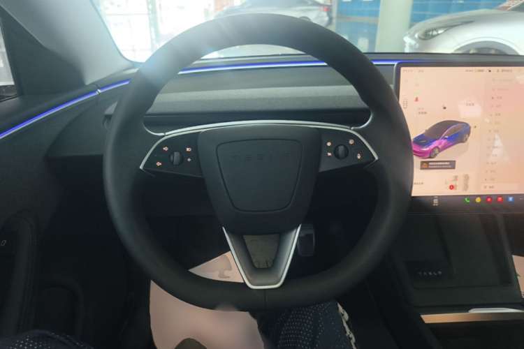 Tesla Model 3 2024 immagine di auto #11