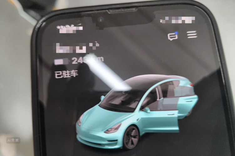 Tesla Model 3 2021 car image #10