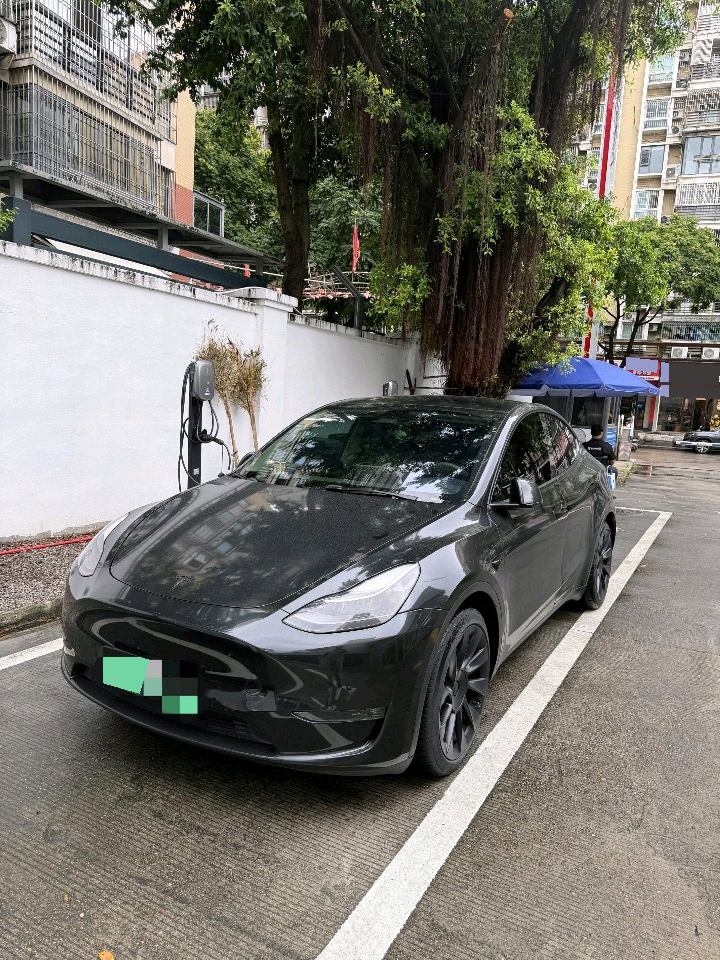 Tesla Model Y 2021 car image 