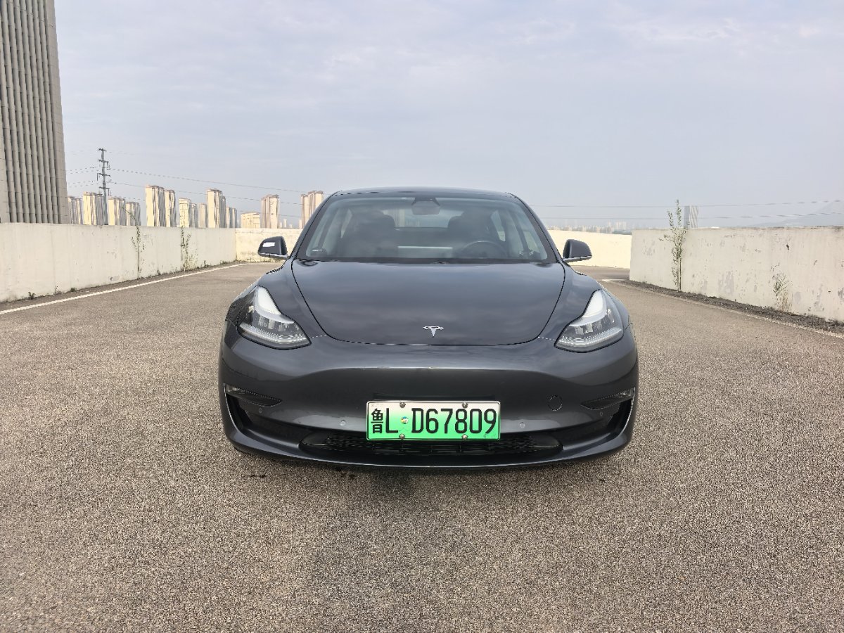 Tesla Model 3 (Imported) 2019 car image 