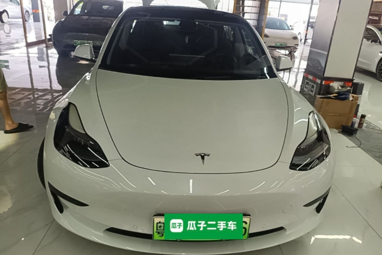 Tesla Model 3 2021 #3 Tesla Model 3 2021 car image #3