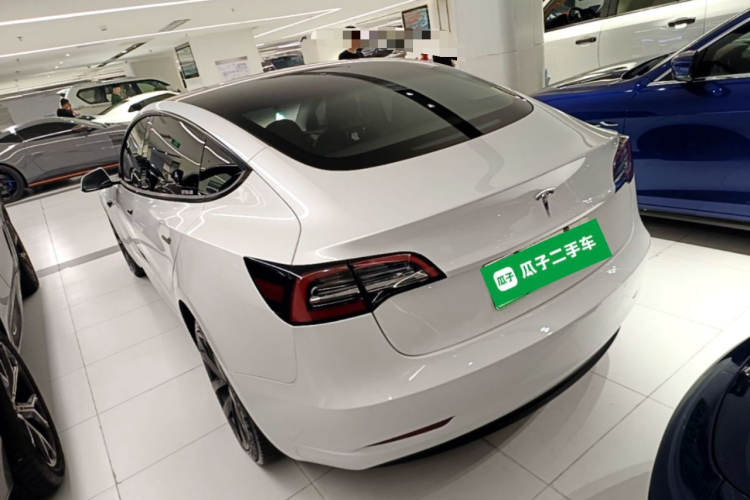 Tesla Model 3 2021 #5 Tesla Model 3 2021 car image #5