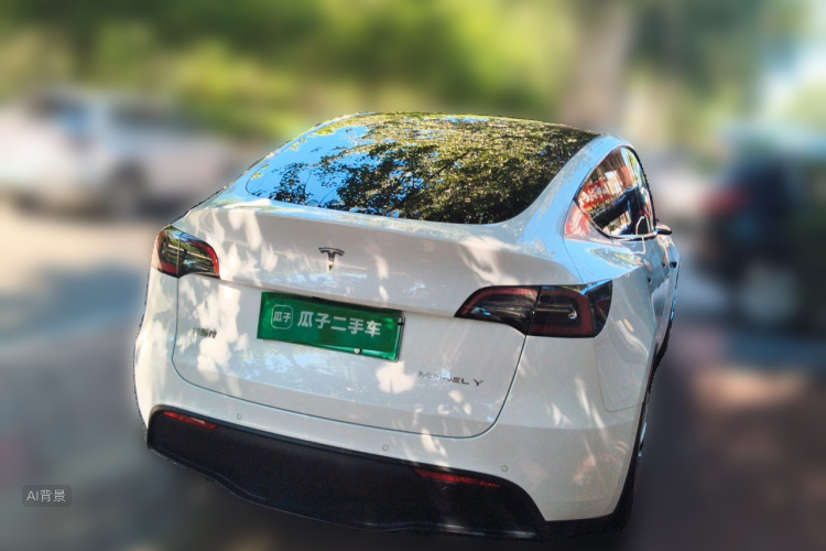 Tesla Model Y 2022 car image #7