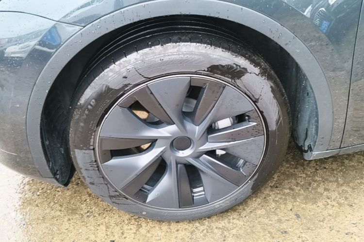 Tesla Model Y 2024 car image #9