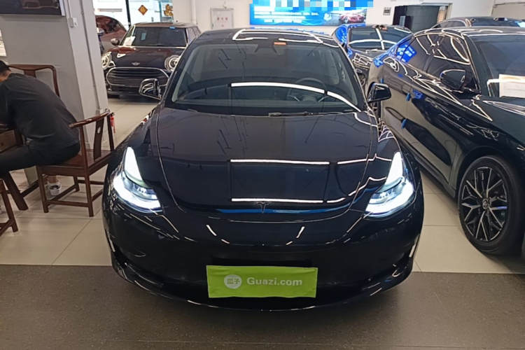 Tesla Model 3 2021 #3 Tesla Model 3 2021 car image #3