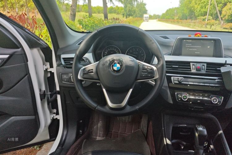 BMW X1 2017 car image #12