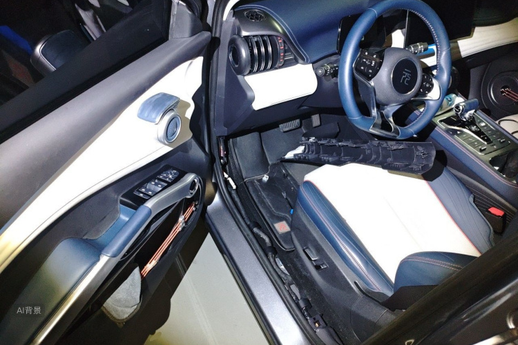 BYD Yuan Plus 2022 car image #18