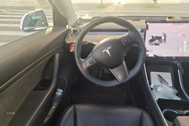 Tesla Model 3 2020 car image #12