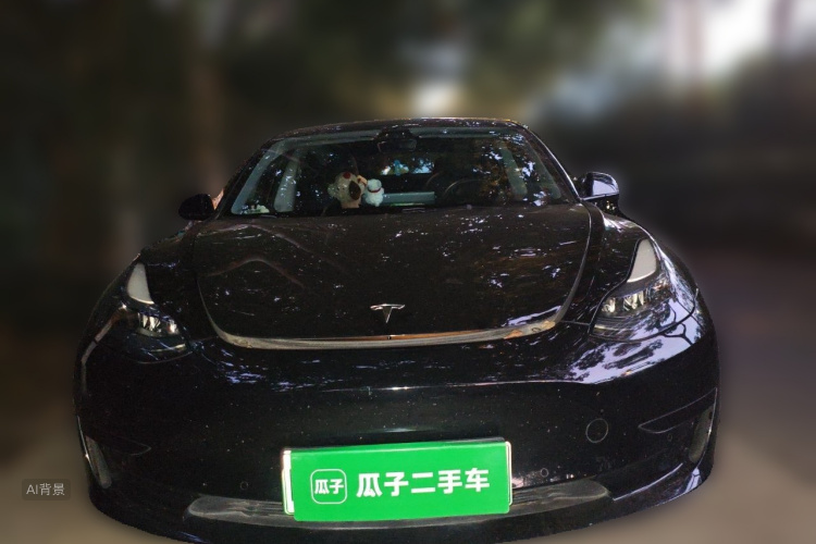 Tesla Model 3 2023 #3 Tesla Model 3 2023 صورة سيارة #3