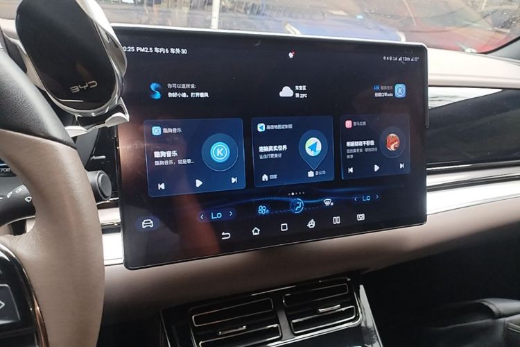 BYD Han 2022 #13 BYD Han 2022 immagine di auto #13