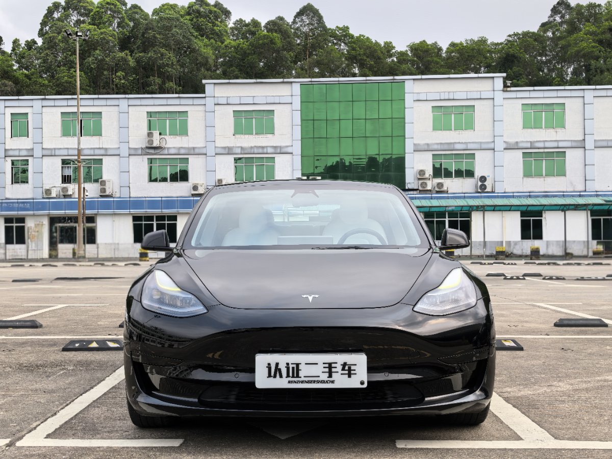 Tesla Model 3 2021 car image #2