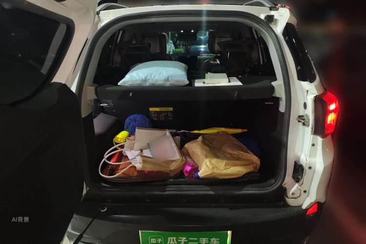 BYD Yuan New Energy 2020 car image #21