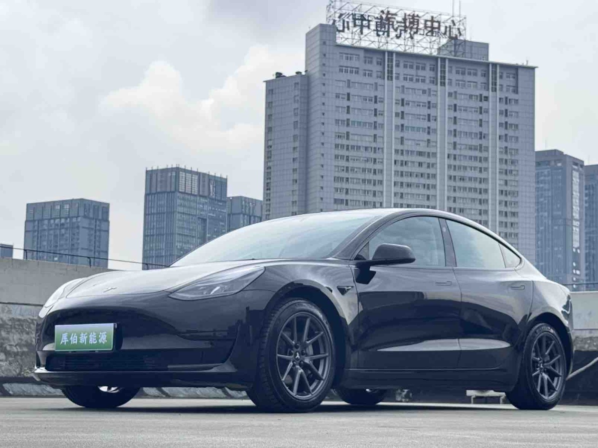 Tesla Model 3 2022 car image 