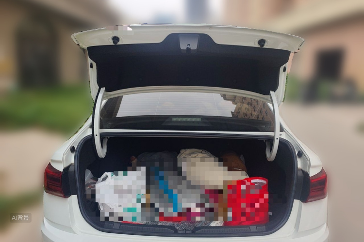 Volkswagen Bora 2020 car image #21