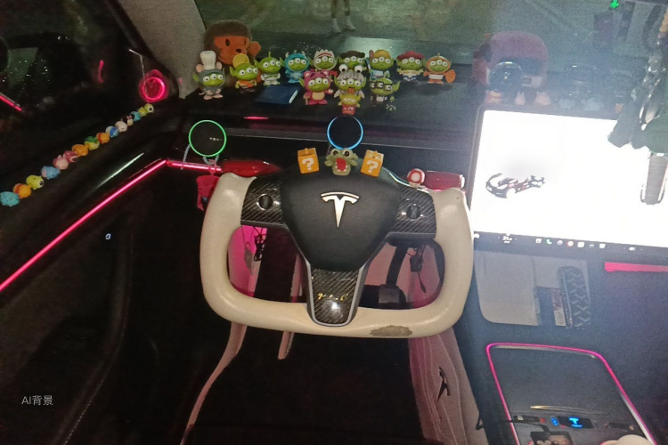 Tesla Model Y 2023 car image #12