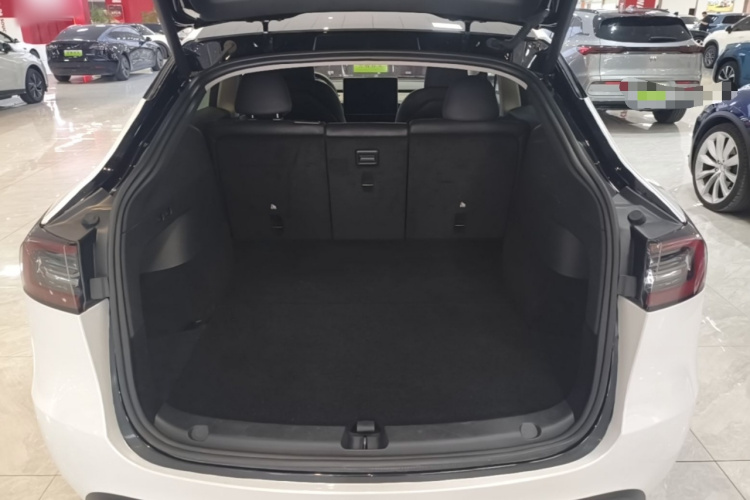 Tesla Model Y 2023 car image #19