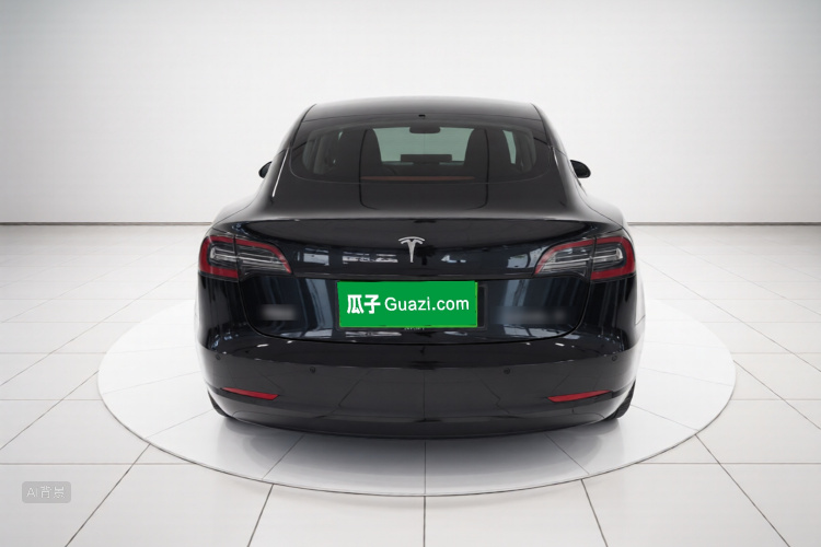 Tesla Model 3 2020 car image #6