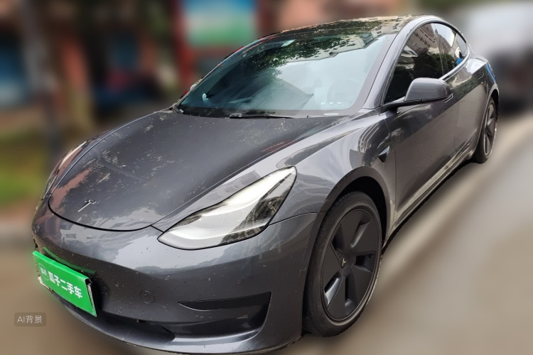 Tesla Model 3 2021 immagine di auto #2